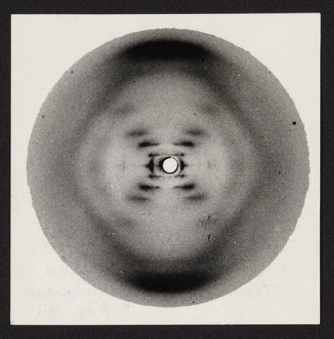 Photograph 51